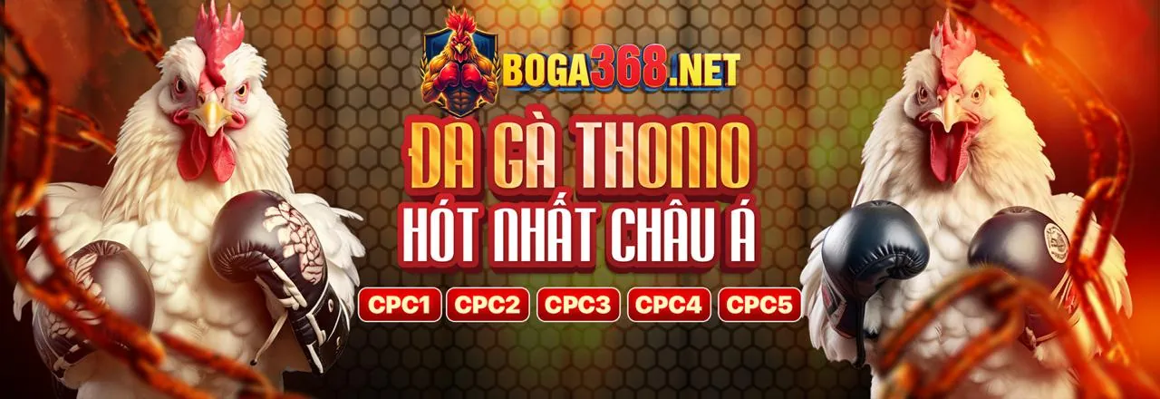 Chương trình VIP ku11bet
